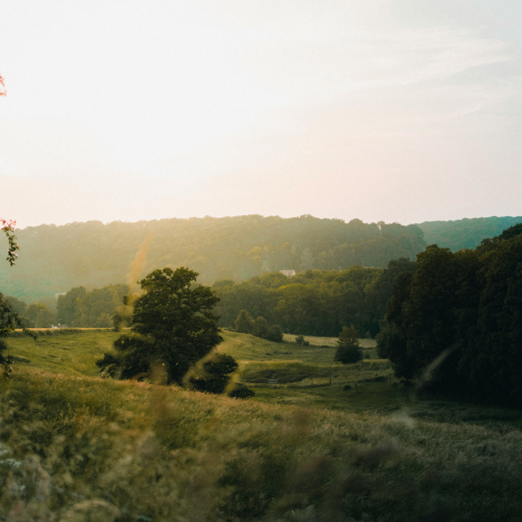 French Countryside of Michel De Montaigne.