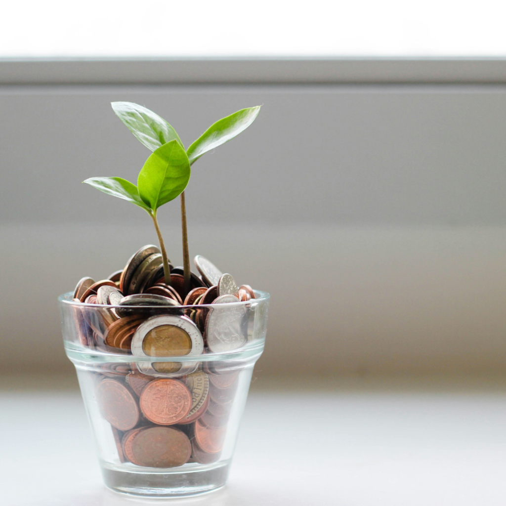 Image of a little plant growing in a small glass filled with coins of money.