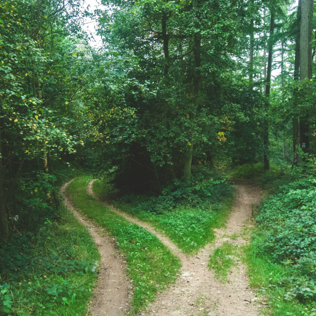 Different paths in a forrest. Making a decision means you can't take the other path.