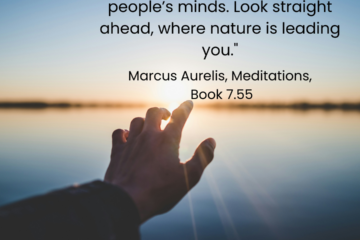 What is success: A Stoic view. "Don't pay attention to others people's minds. Look straight ahead, where nature is leading you." Marcus Aurelius