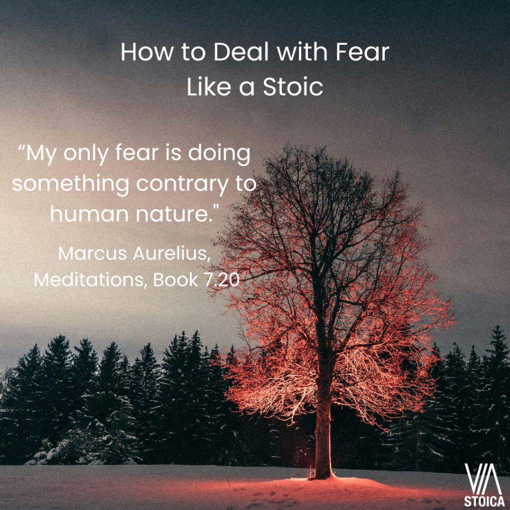 How to deal with fear. "My only fear is doing something contrary to human nature." Marcus Aurelius