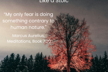 How to deal with fear. "My only fear is doing something contrary to human nature." Marcus Aurelius
