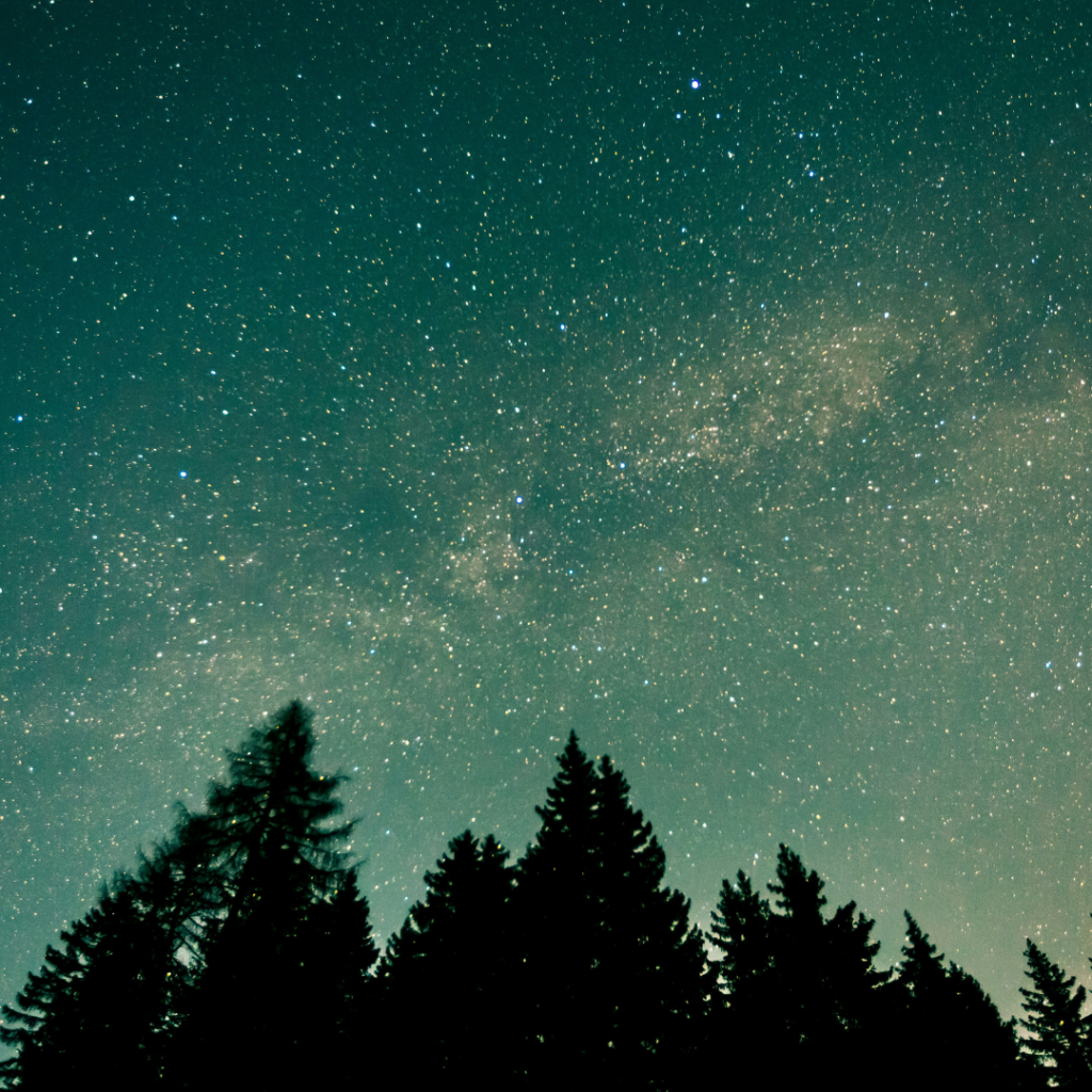 Reason on display in the star in the heavens.