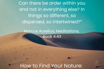 How to Find our Nature: Entropy and Stoicism. “An ordered world or a mishmash. But still an order. Can there be order within you and not in everything else? In things so different, so dispersed, so intertwined?” Marcus Aurelius