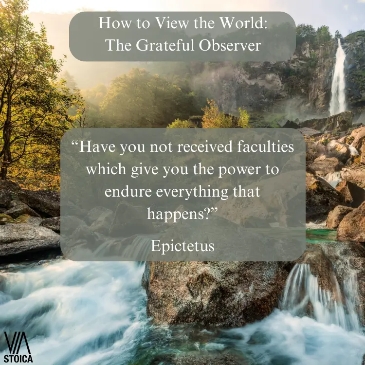 How to View the World