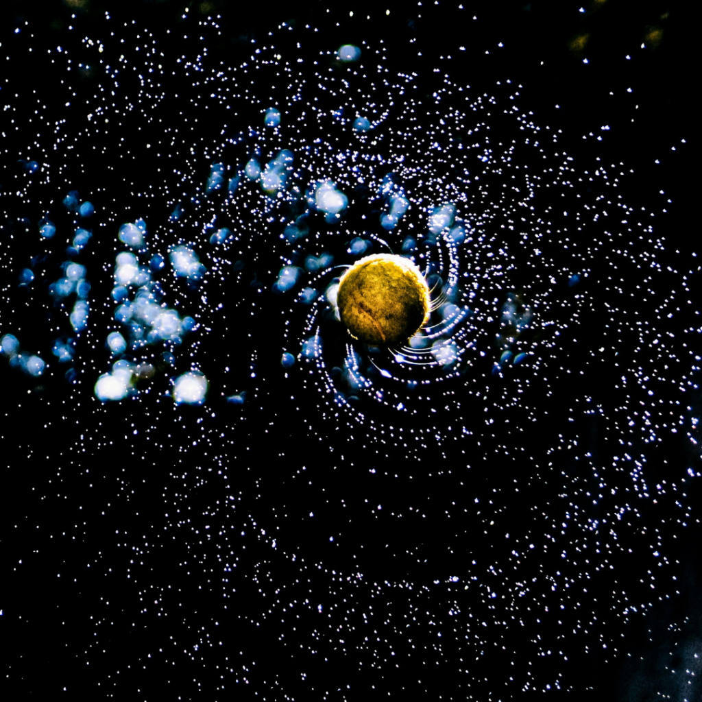 The universe showing its order.