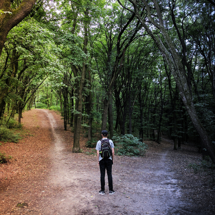 A person in the woods trying to make a decision.