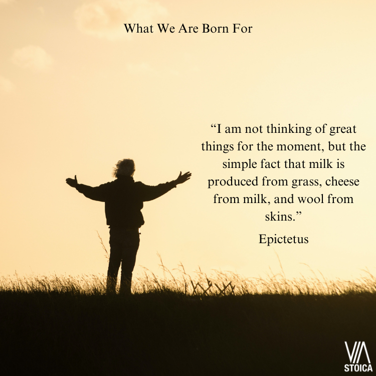 What we Are Born For