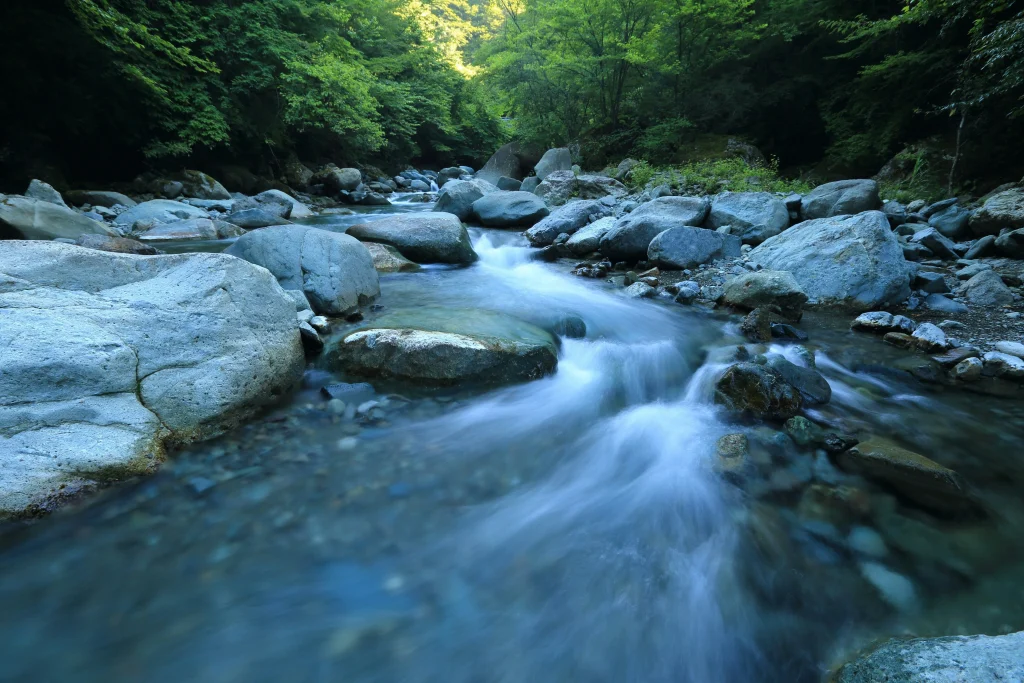 The Tao Flows