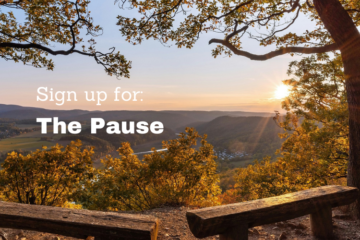 The Pause by Via Stoica