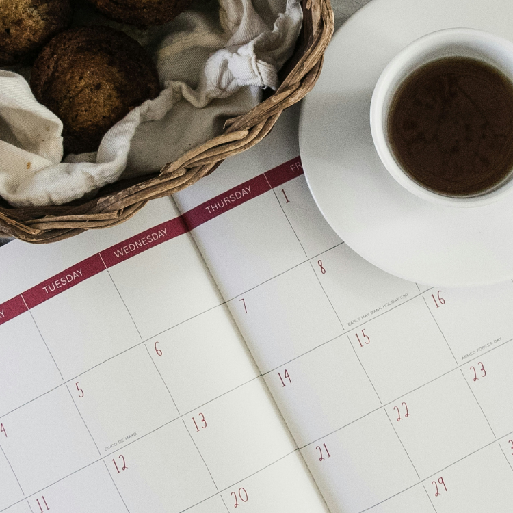 A calendar to book an appointment.