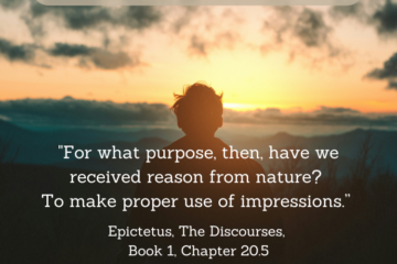 How Can Reason Contemplate Itself - "For what purpose, then, have we received reason from nature? To make proper use of impressions.” - Epictetus, The Discourses, Book 1, Chapter 20.5