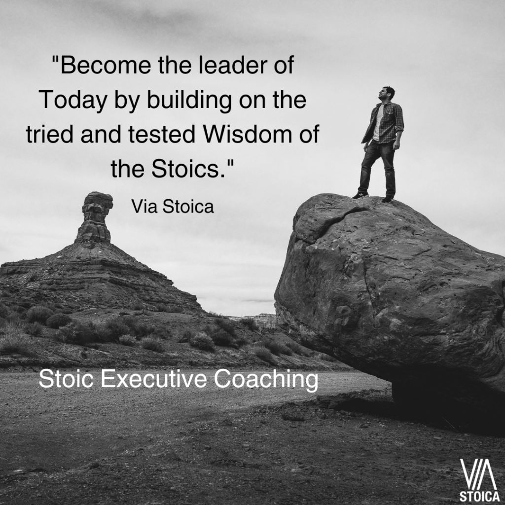 Stoic Executive Coaching - Elevate your Leadership