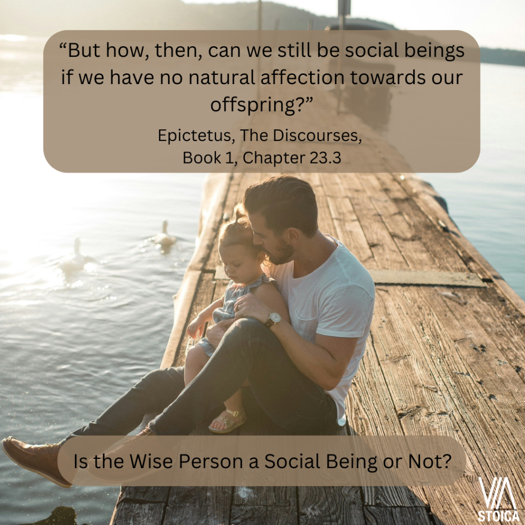 Is the Wise Persona A Social Being or not? - “But how, then, can we still be social beings if we have no natural affection towards our offspring?” - Epictetus, The Discourses, Book 1, Chapter 23.3