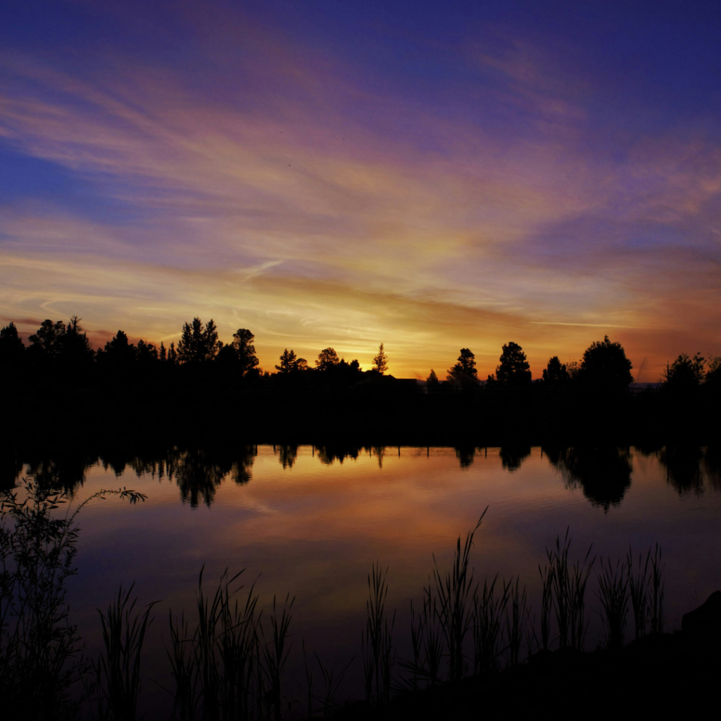 World at dawn