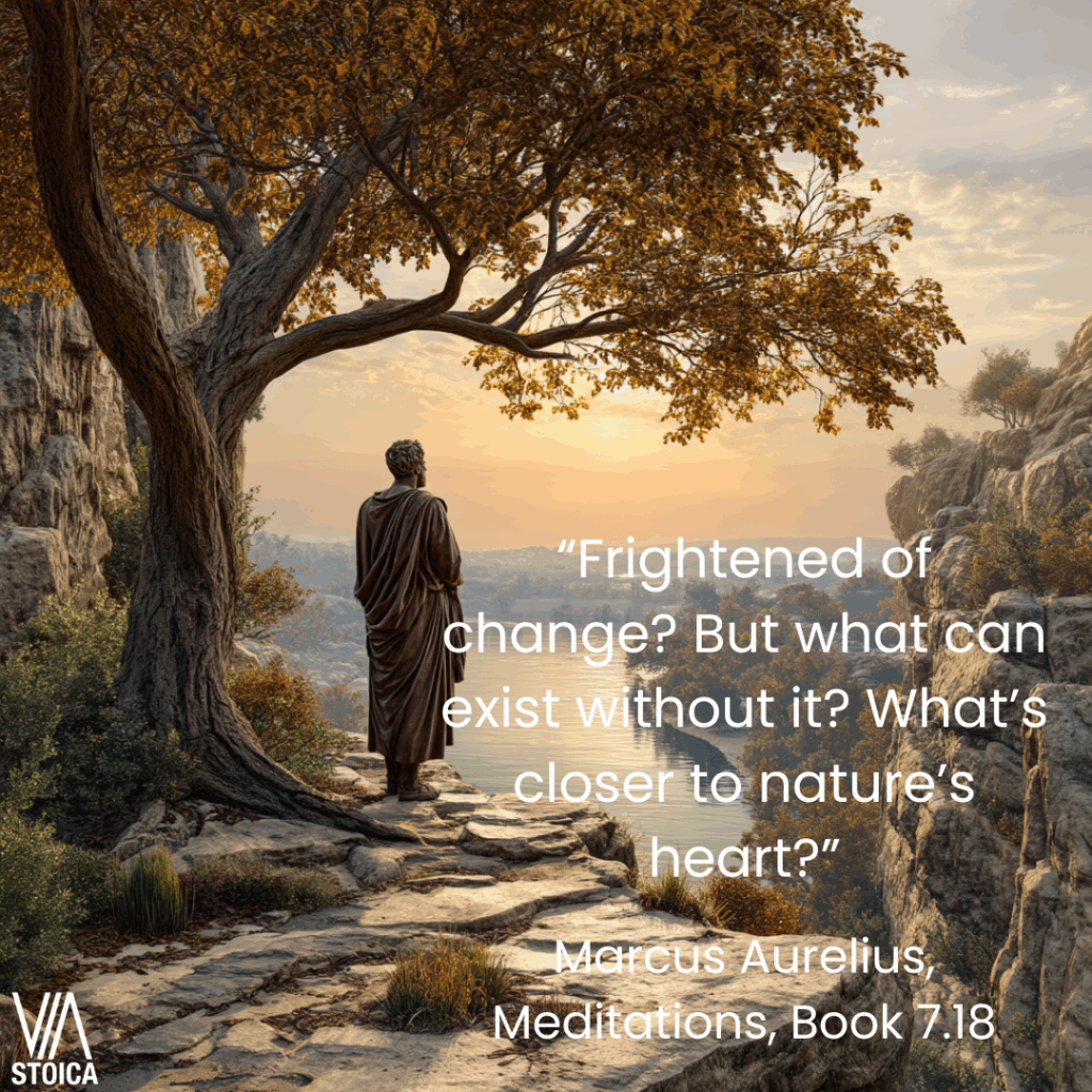 “Frightened of change? But what can exist without it? What’s closer to nature’s heart?” Marcus Aurelius quote on change on Via Stoica.