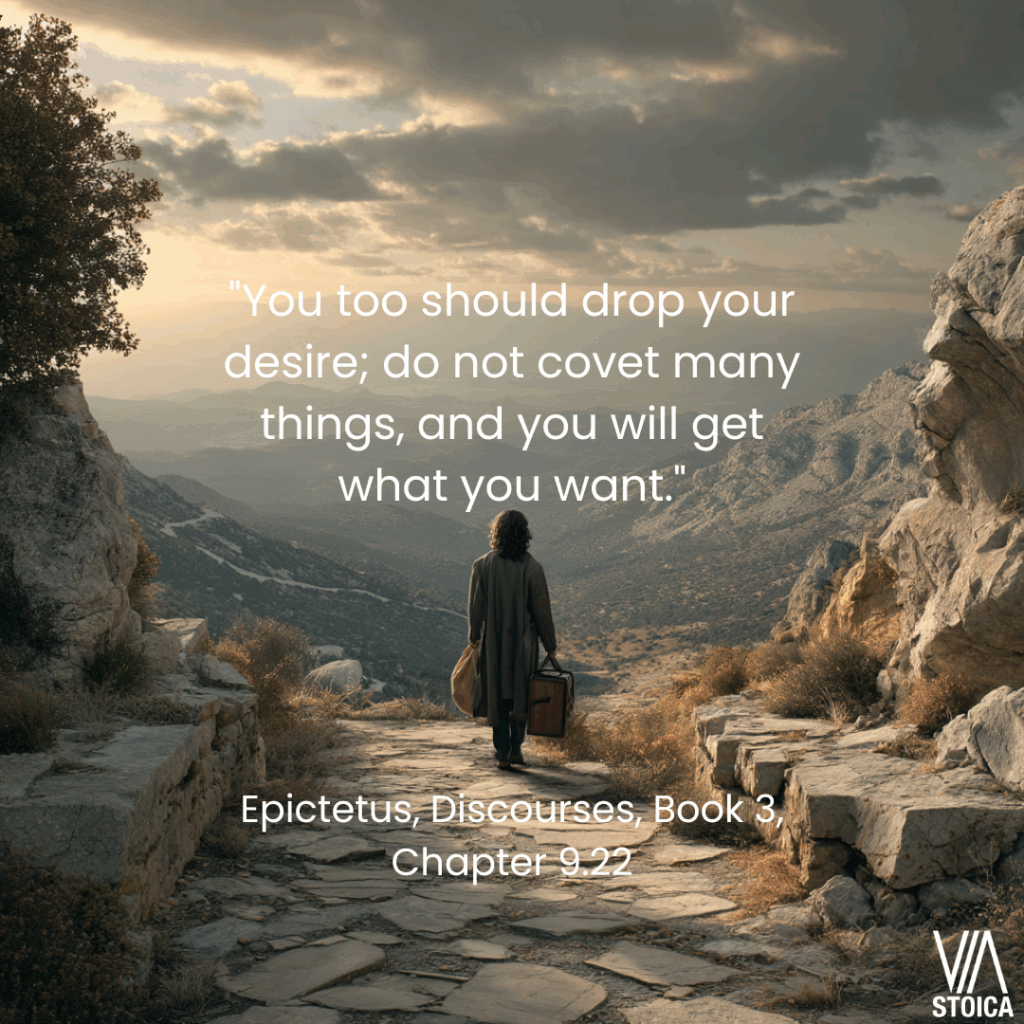 "You too should drop your desire; do not covet many things, and you will get what you want." 10 Epictetus quotes on Temperance on Via Stoica.