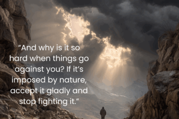 “And why is it so hard when things go against you? If it’s imposed by nature, accept it gladly and stop fighting it.” Stoic acceptance on what is on Via Stoica.