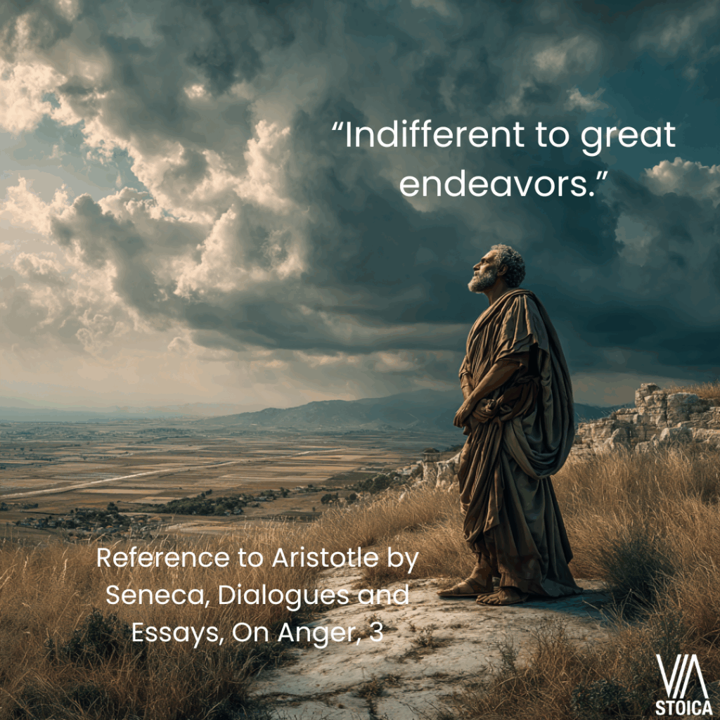 “Indifferent to great endeavors.” How to Approach Ambition Like a Stoic on Via Stoica.