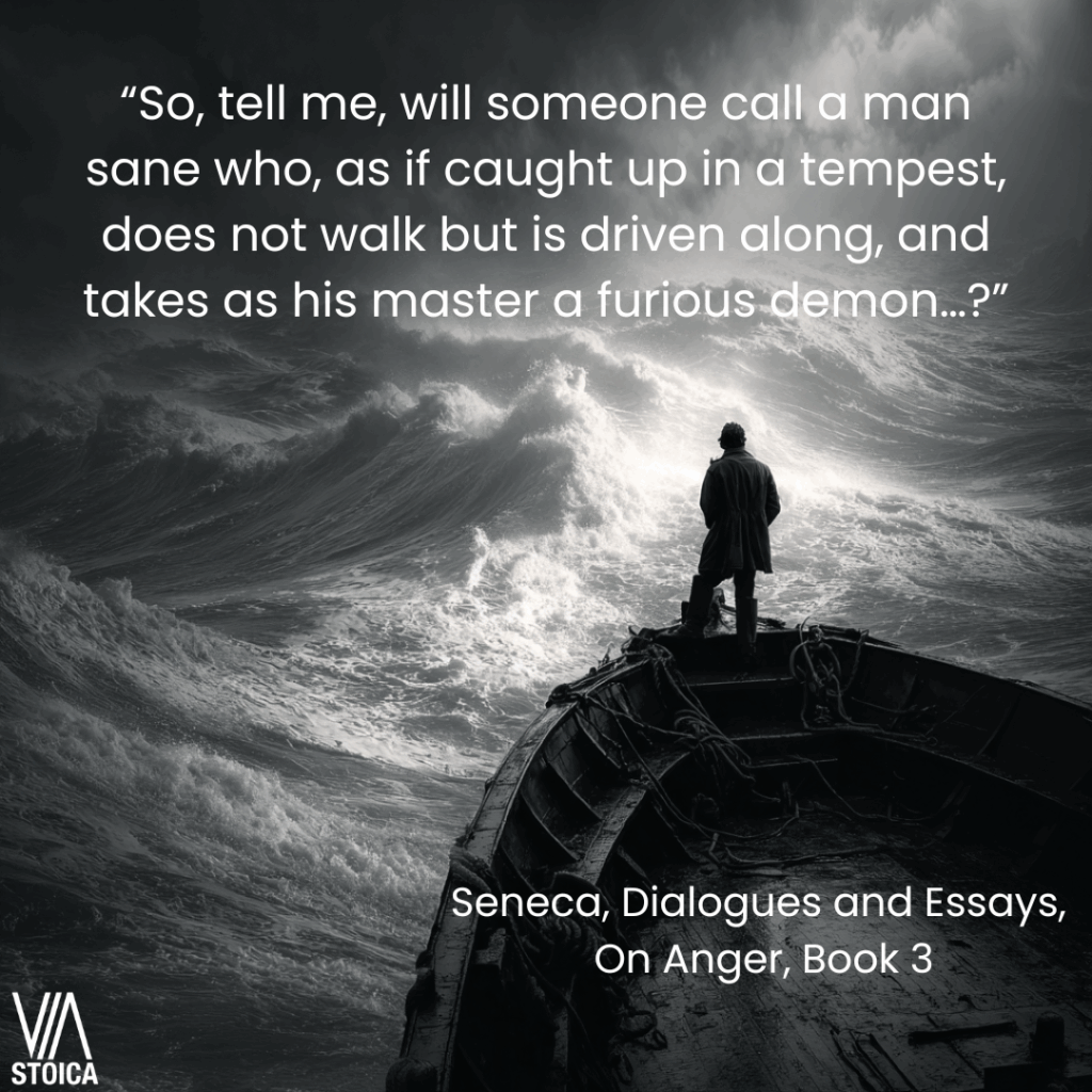 “So, tell me, will someone call a man sane who, as if caught up in a tempest, does not walk but is driven along, and takes as his master a furious demon…?” How Stoics Control anger on Via Stoica.