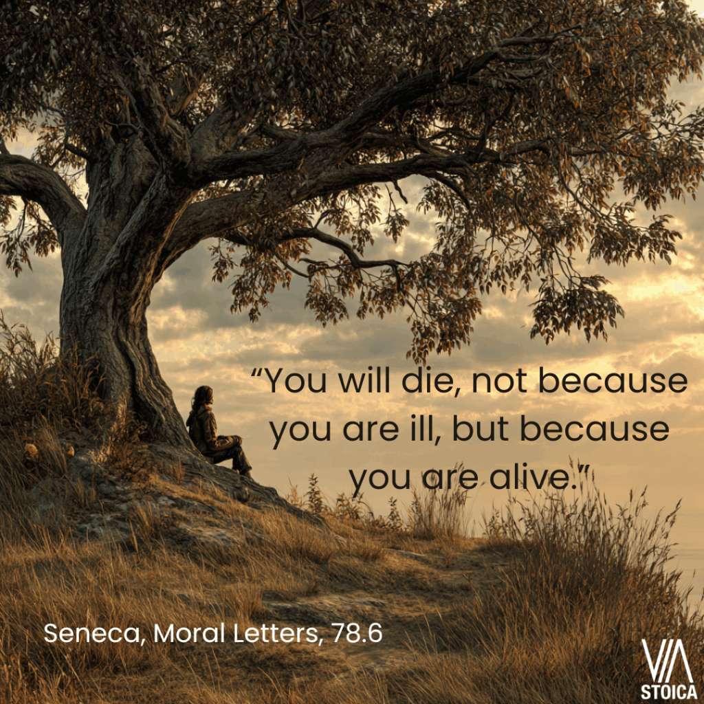 “You will die, not because you are ill, but because you are alive.” 10 Seneca Quotes on Death on Via Stoica.