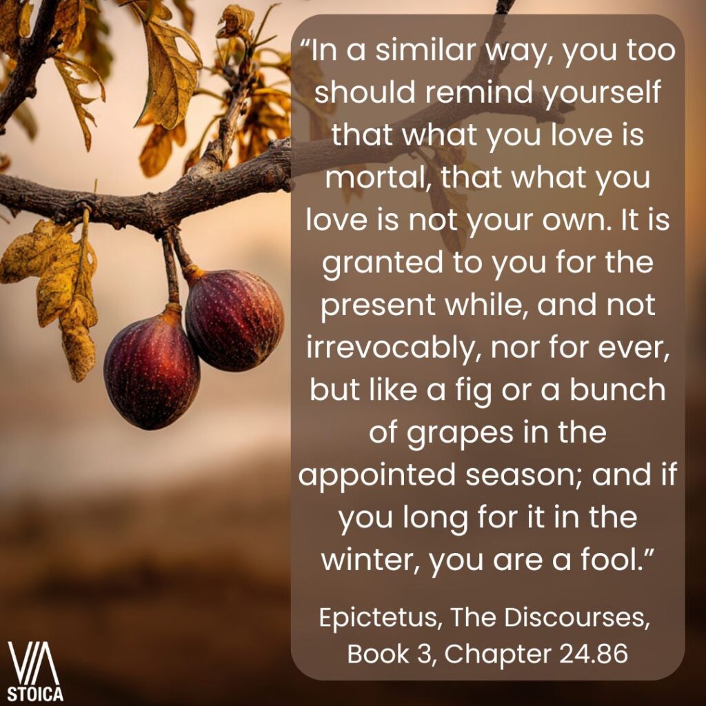 “In a similar way, you too should remind yourself that what you love is mortal, that what you love is not your own. The Stoic View on Impermanence on Via Stoica.