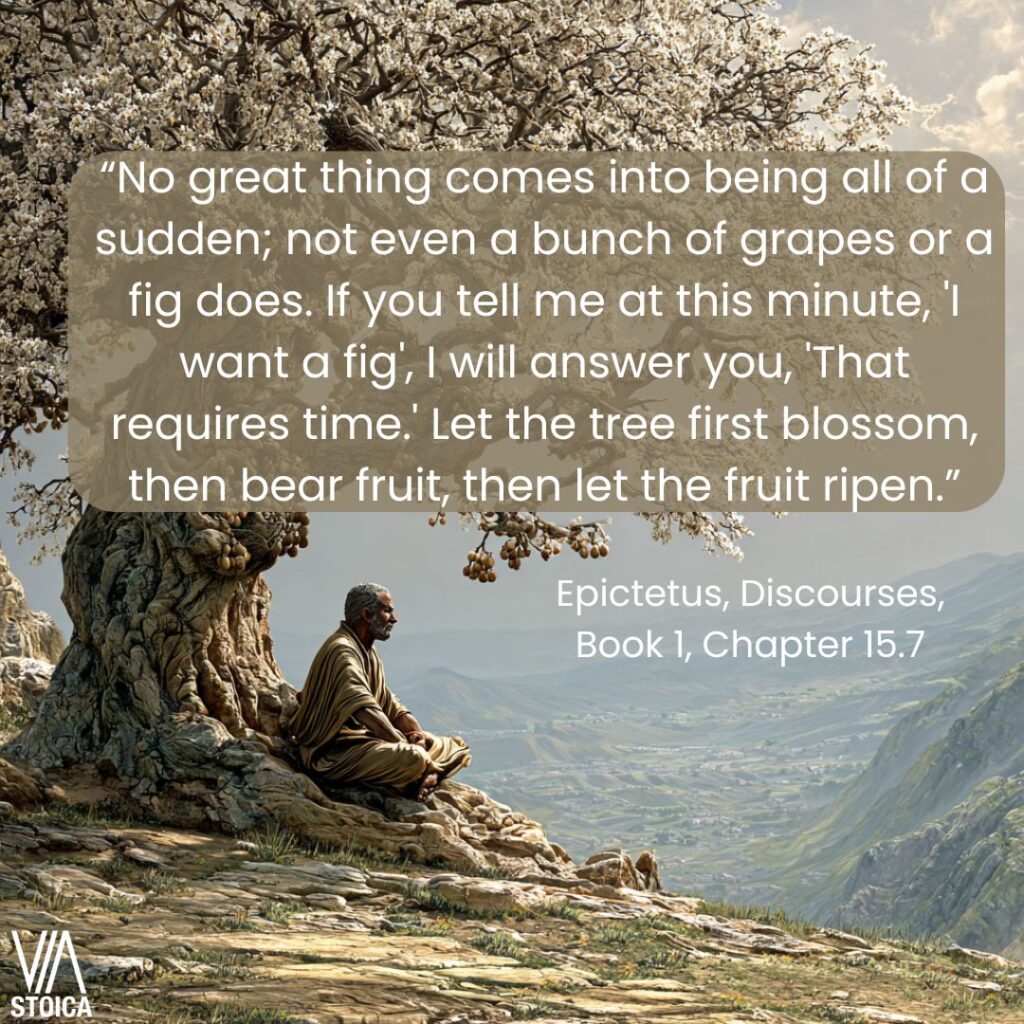 “No great thing comes into being all of a sudden" 10 Epictetus quotes on Stoic Masculinity on Via Stoica.