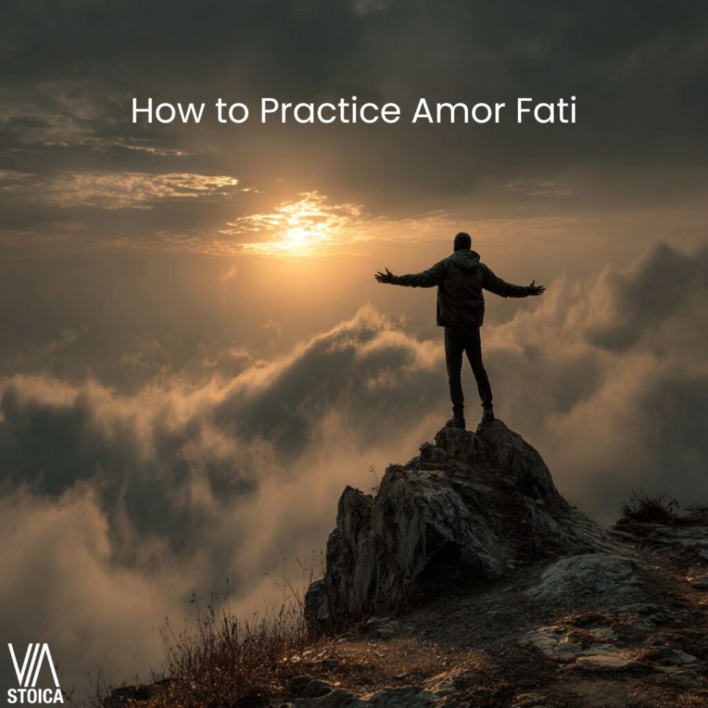 How to Practice Amor Fati, an examination on Via Stoica.