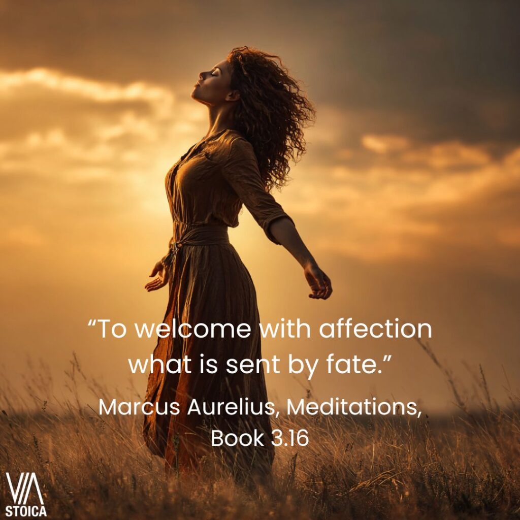 “To welcome with affection what is sent by fate.” How to Practice Amor Fait on Via Stoica.