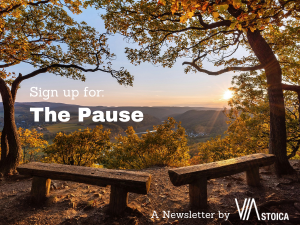The Pause - A Newsletter by Via Stoica