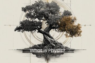 What is Physis? An examination and practice of a Stoic term on Via Stoica.