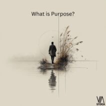 What is Purpose and how we can find it on Via Stoica.