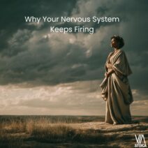 An examination of how Stoicism can help regulate the nervous system on Via Stoica.
