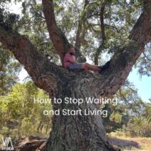 How to Stop Waiting and Start Living the Stoic way on Via Stoica.