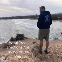What Your Emotions Are Trying to Tell You: A Stoic Guide on Via Stoica.