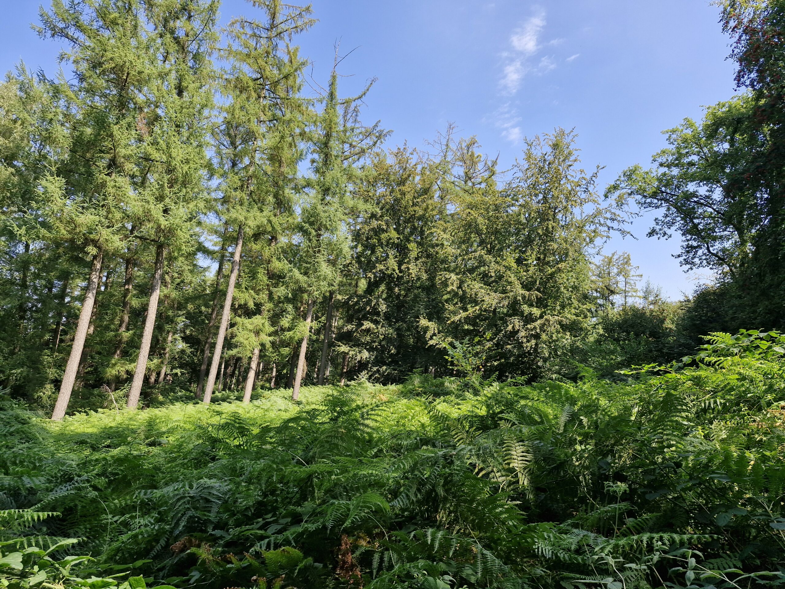 Stoic hike group, Epen and Teuven, August 2026